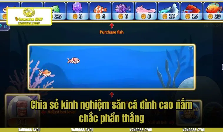 ban ca vando88 4 Chia sẻ kinh nghiệm săn cá đỉnh cao nắm chắc phần thắng
