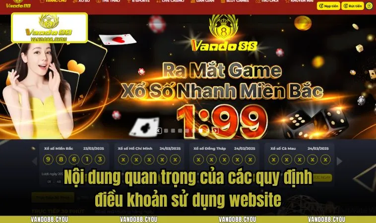 dieu khoan su dung vando88 2 Nội dung quan trọng của các quy định điều khoản sử dụng website