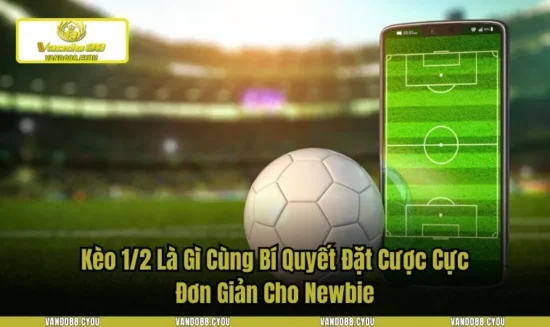 Kèo 1/2 Là Gì Cùng Bí Quyết Đặt Cược Cực Đơn Giản Cho Newbie