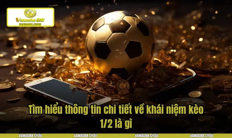 keo 1 2 la gi 2 Tìm hiểu thông tin chi tiết về khái niệm kèo 1/2 là gì