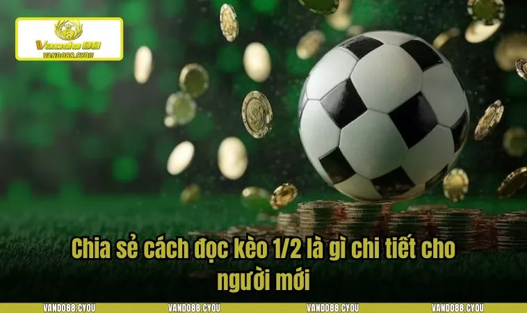 keo 1 2 la gi 3 Chia sẻ cách đọc kèo 1/2 là gì chi tiết cho người mới