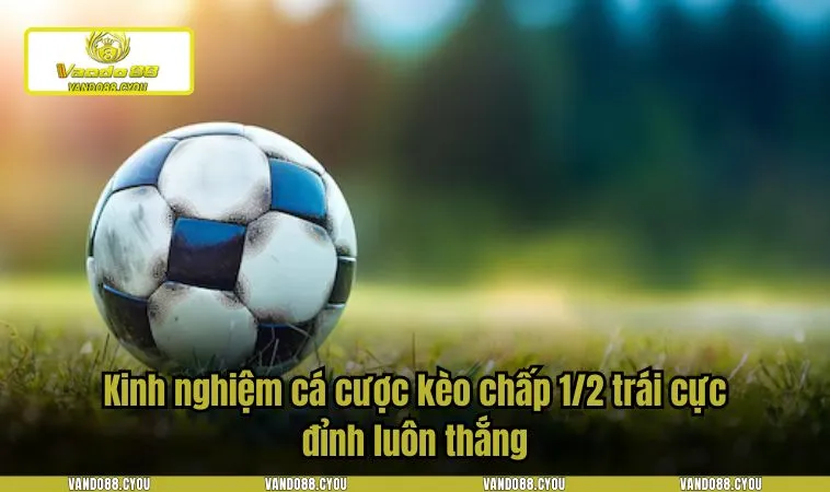 keo 1 2 la gi 4 Kinh nghiệm cá cược kèo chấp 1/2 trái cực đỉnh luôn thắng
