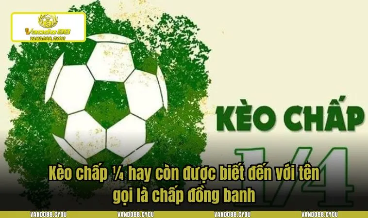 keo chap1 4 1 Kèo chấp 1/4 hay còn được biết đến với tên gọi là chấp đồng banh
