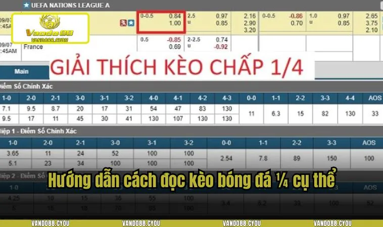 keo chap1 4 2 Hướng dẫn cách đọc kèo bóng đá 1/4 cụ thể