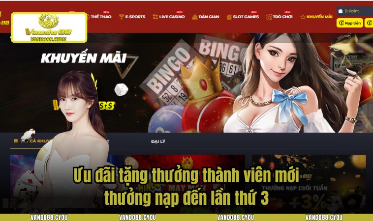 nha cai vando88 8 Ưu đãi tặng thưởng thành viên mới thưởng nạp đến lần thứ 3